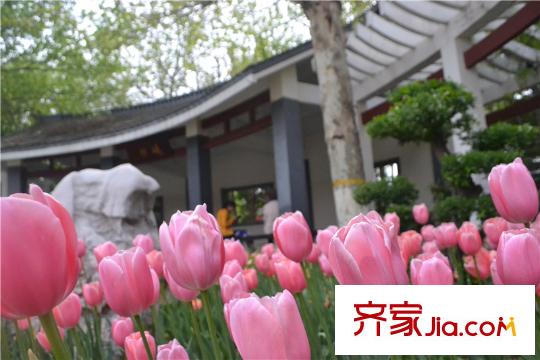 金景雅苑向北200米植物園
