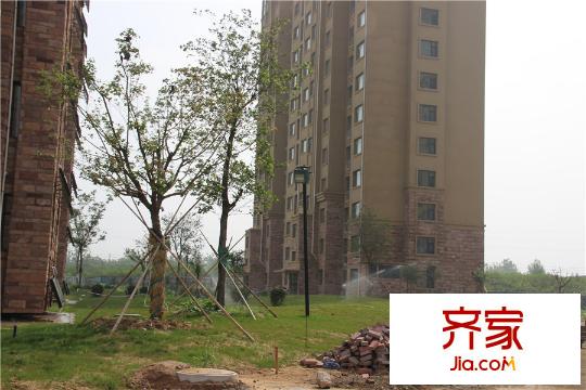 十地金隅園一期園林施工（2015-8-11）
