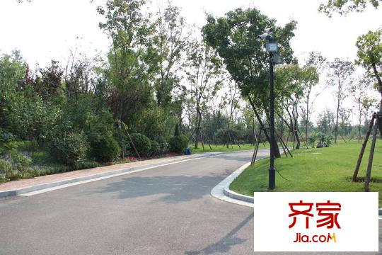 卡納圣菲小區(qū)園林綠化（2015-9-22）