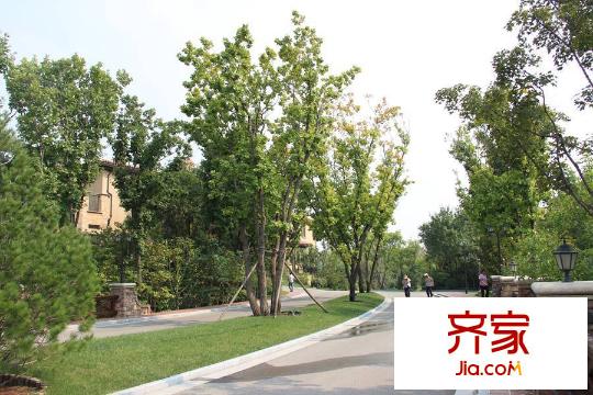 卡納圣菲小區(qū)園林綠化（2015-9-22）