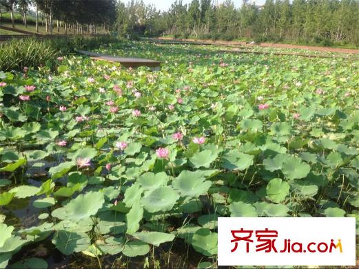 荔水灣項(xiàng)目東100米北辰公園