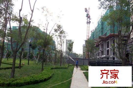 大有公館小區(qū)內部景觀（2015-10-20）