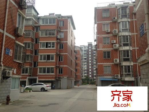 東大儷鑫花苑外景圖 
