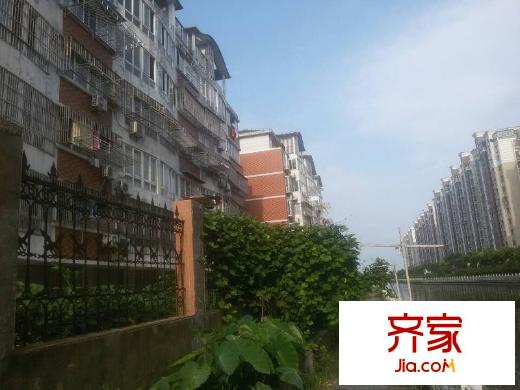 東大儷鑫花苑外景圖 
