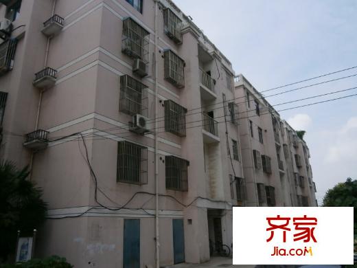 城東小區(qū)外景圖 