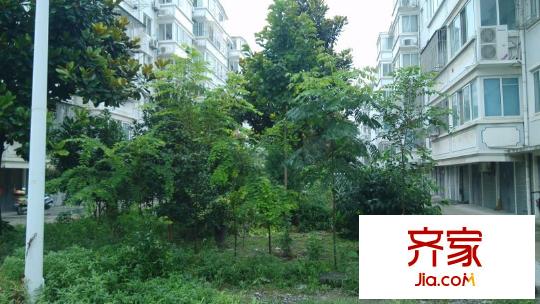 中坤苑外景圖 