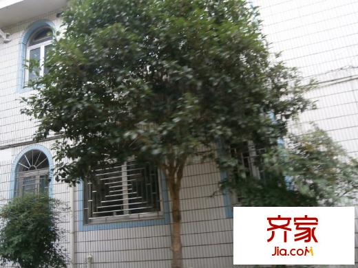 紫薇三村外景圖 