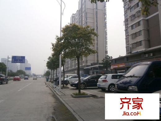 盛鑫金橋世家