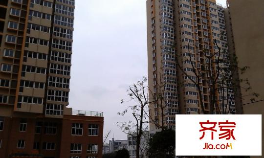 曙光福里外景圖 