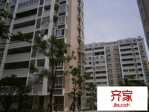 金霞東苑外景圖 