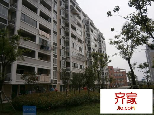金霞東苑外景圖 