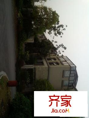 金河名人世家外景圖 