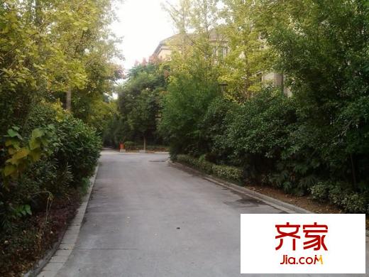 金河名人世家外景圖 