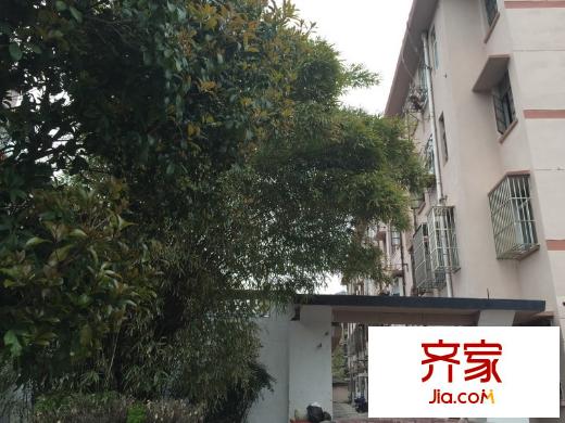 解放新村外景圖 