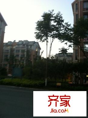 星竹花園外景圖 