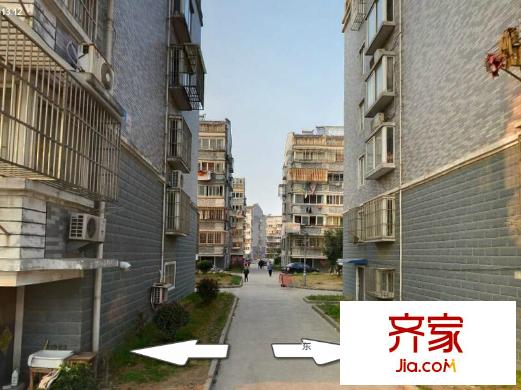 五山花苑外景圖 