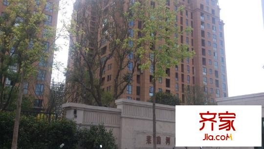 鳳凰萊茵河畔外景圖 