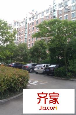 星?；▓@菁英匯外景圖 