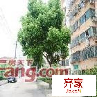 越江新村外景圖 