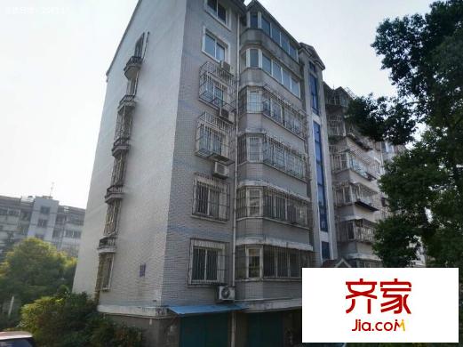 蓮花苑外景圖 