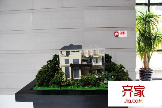 中邦上海城獨棟模型（20150901）