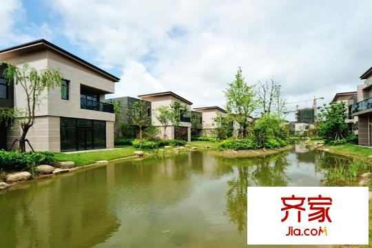 中邦上海城小區(qū)河流（20150901）