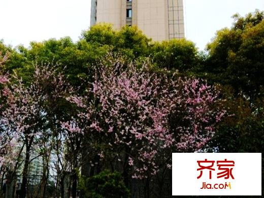 御景華庭（20140327）