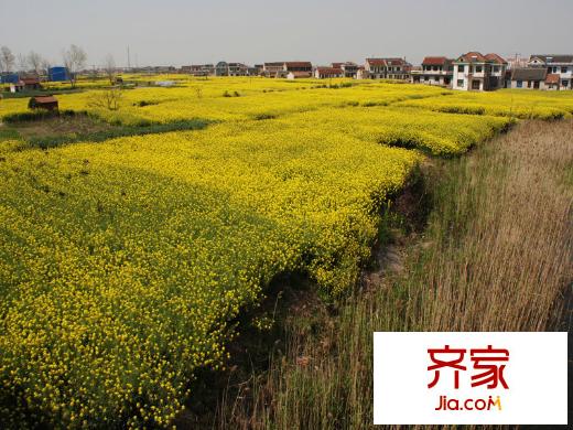 綠島江灣城