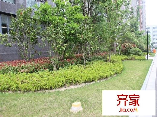 煒賦星湖鄰里小區(qū)實(shí)景綠化（20130523）