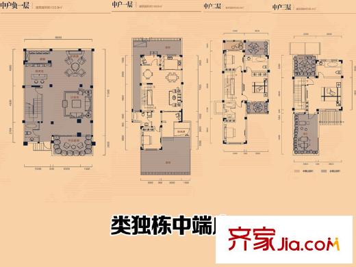 金科城類獨(dú)棟中端戶戶型 