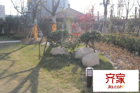 圓融廣場(chǎng)小區(qū)內(nèi)綠化（20140102）