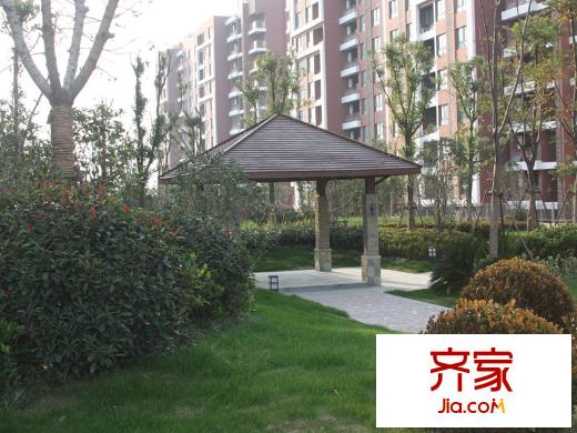 證大國(guó)際城小區(qū)實(shí)景20131203
