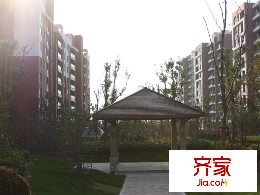 證大國(guó)際城小區(qū)實(shí)景20131203