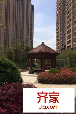保利香檳國際區(qū)內(nèi)綠化（2015-09-07）