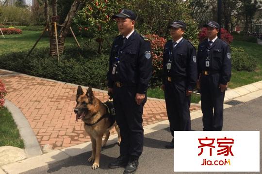 保利香檳國際區(qū)內(nèi)物業(yè)實景（2015-09-08）