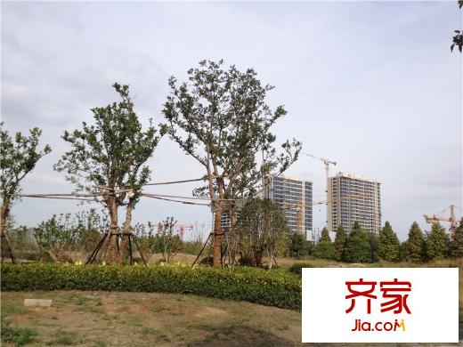 通商華富國(guó)際廣場(chǎng)周邊環(huán)境實(shí)景（2013-12-01）