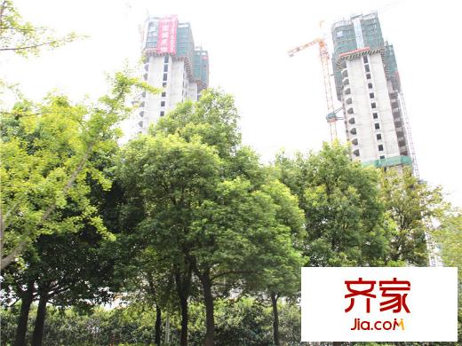 海門中南世紀(jì)錦城小區(qū)綠化（2014-08-28）