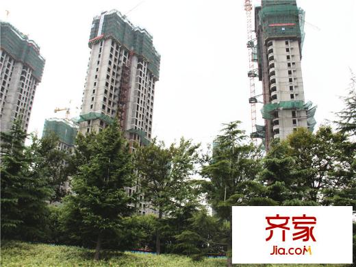 海門中南世紀(jì)錦城小區(qū)綠化（2014-08-28）