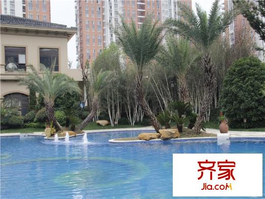 金科世界城小區(qū)游泳池（2014-07-16）