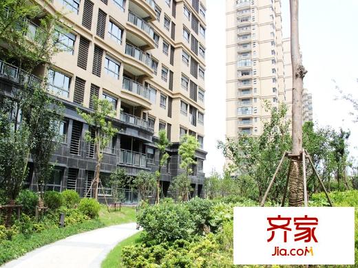 江城逸品