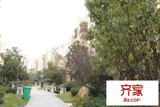 中南軍山半島（2013.12.03）
