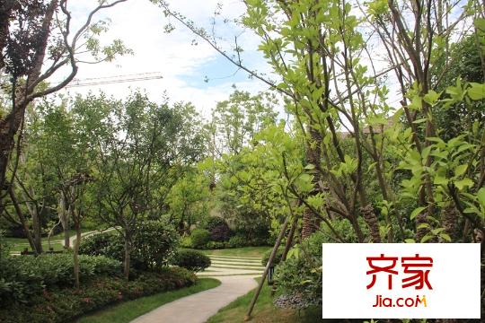 南通別業(yè)小區(qū)綠化