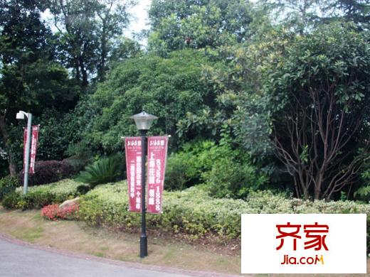 上海莊園（20140818）