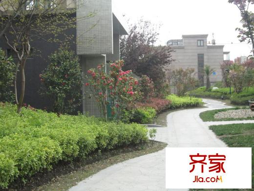 天安花園小區(qū)內(nèi)部實(shí)景（20120418）