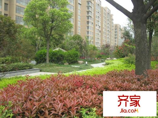 天安花園小區(qū)內(nèi)部實景（20120418）