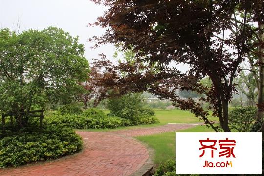 綠地新都會(huì)小區(qū)綠化（20150701）