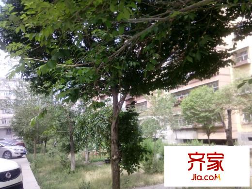 德源峰