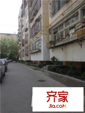 大西溝圖書館家屬院外景圖小區(qū)實景