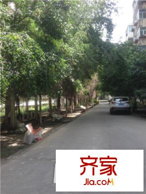 大西溝圖書館家屬院外景圖小區(qū)實(shí)景