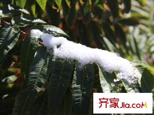 溪水苑周邊配套綠化